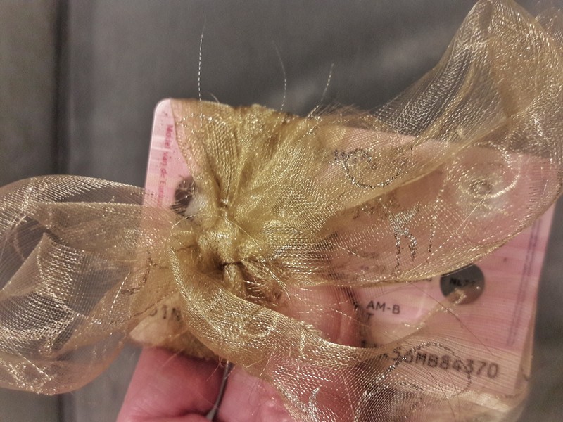 thumb 800 20190110 214445 01